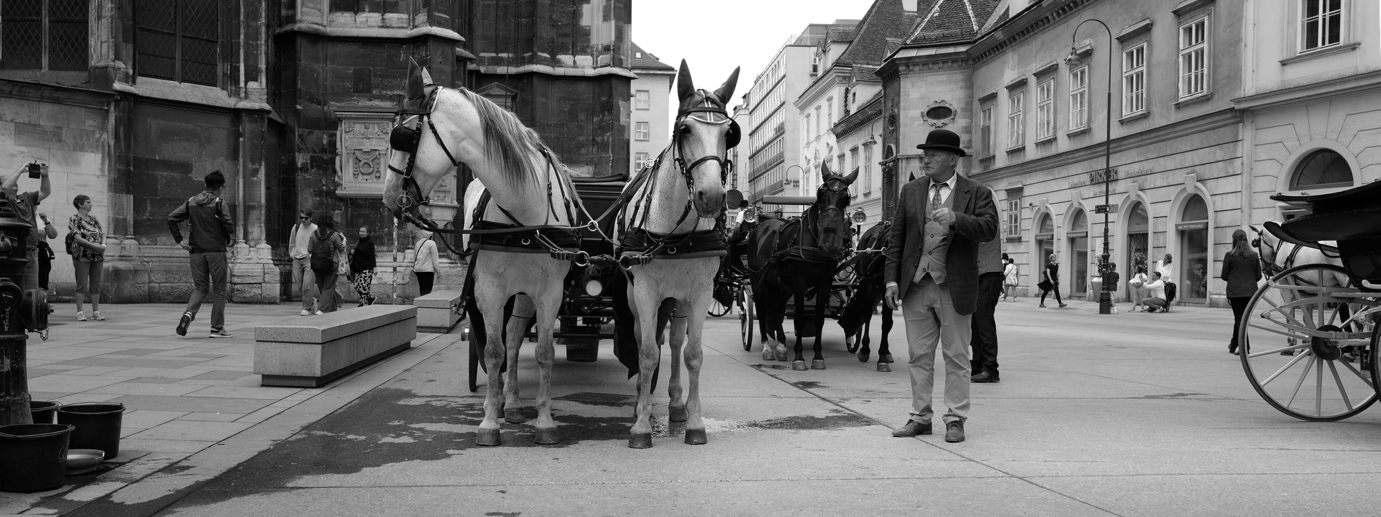 K-Ehmer_Fotografie_Wien_Fiaker_01