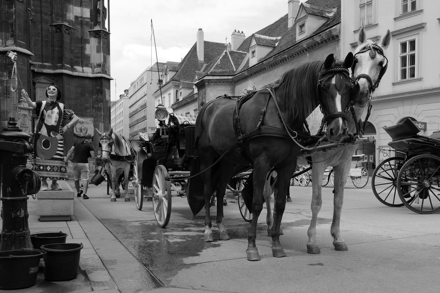 K-Ehmer_Fotografie_Wien_Fiaker_02