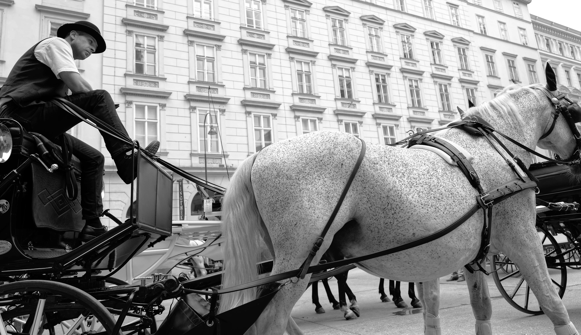 K-Ehmer_Fotografie_Wien_Fiaker_03