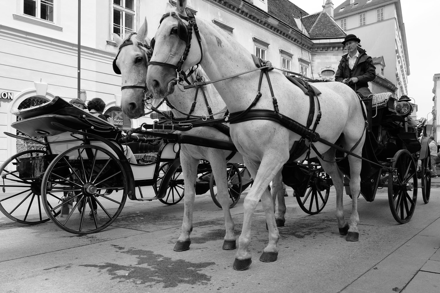 K-Ehmer_Fotografie_Wien_Fiaker_10