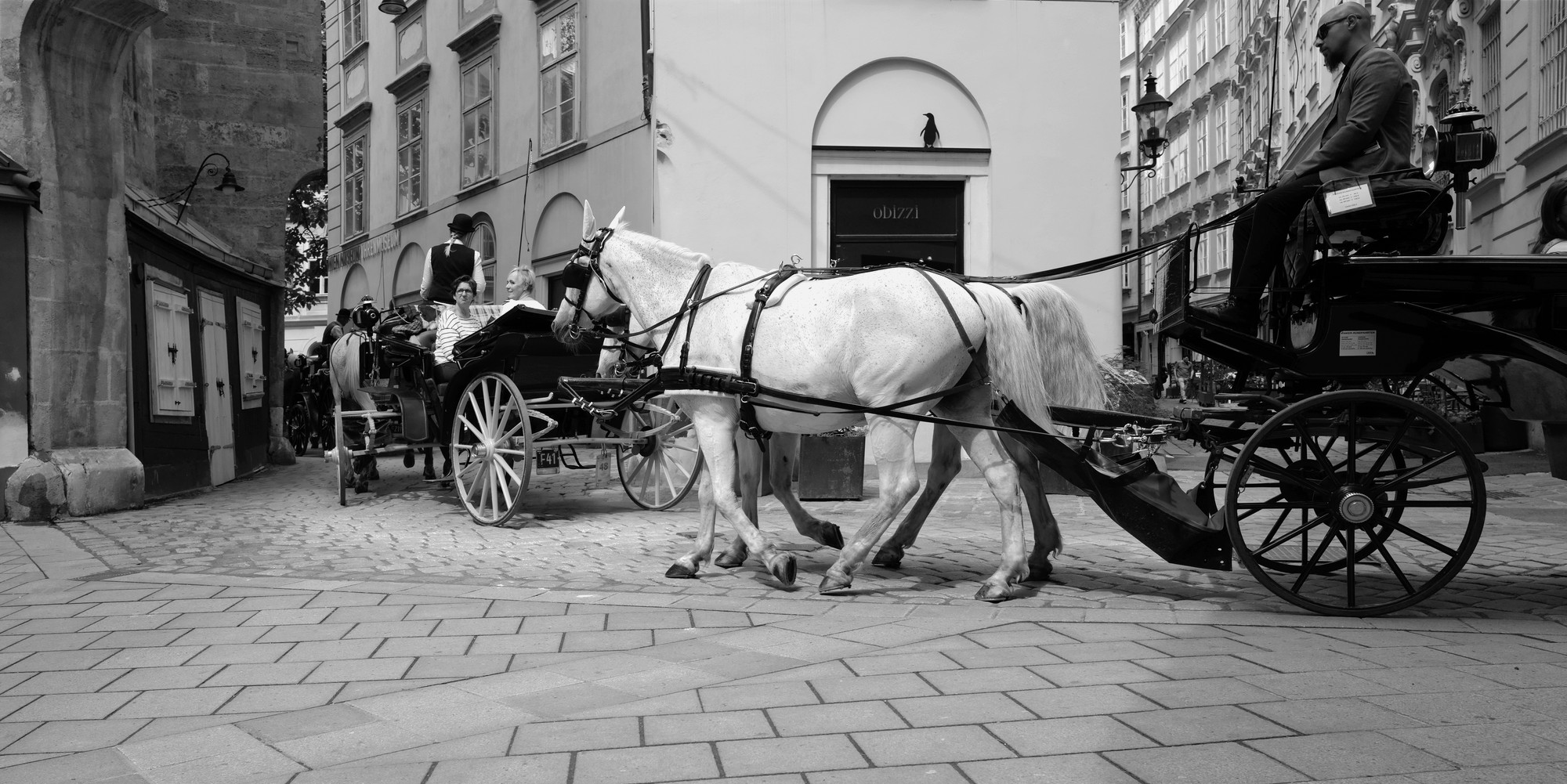 K-Ehmer_Fotografie_Wien_Fiaker_12