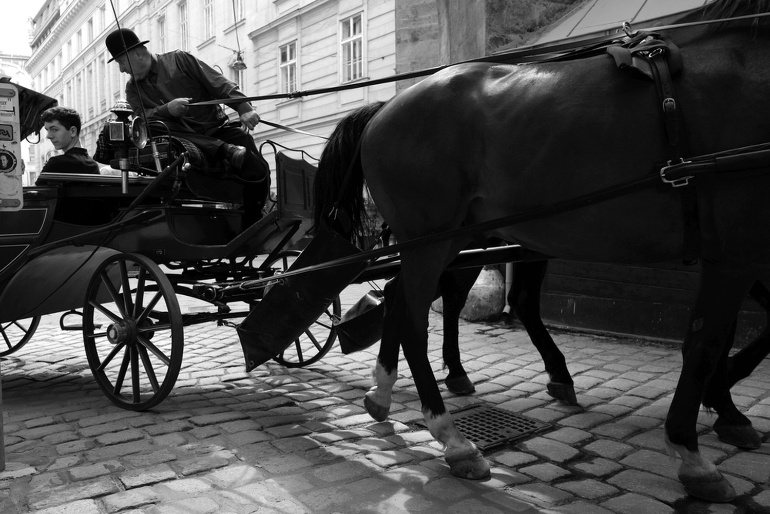 K-Ehmer_Fotografie_Wien_Fiaker_14