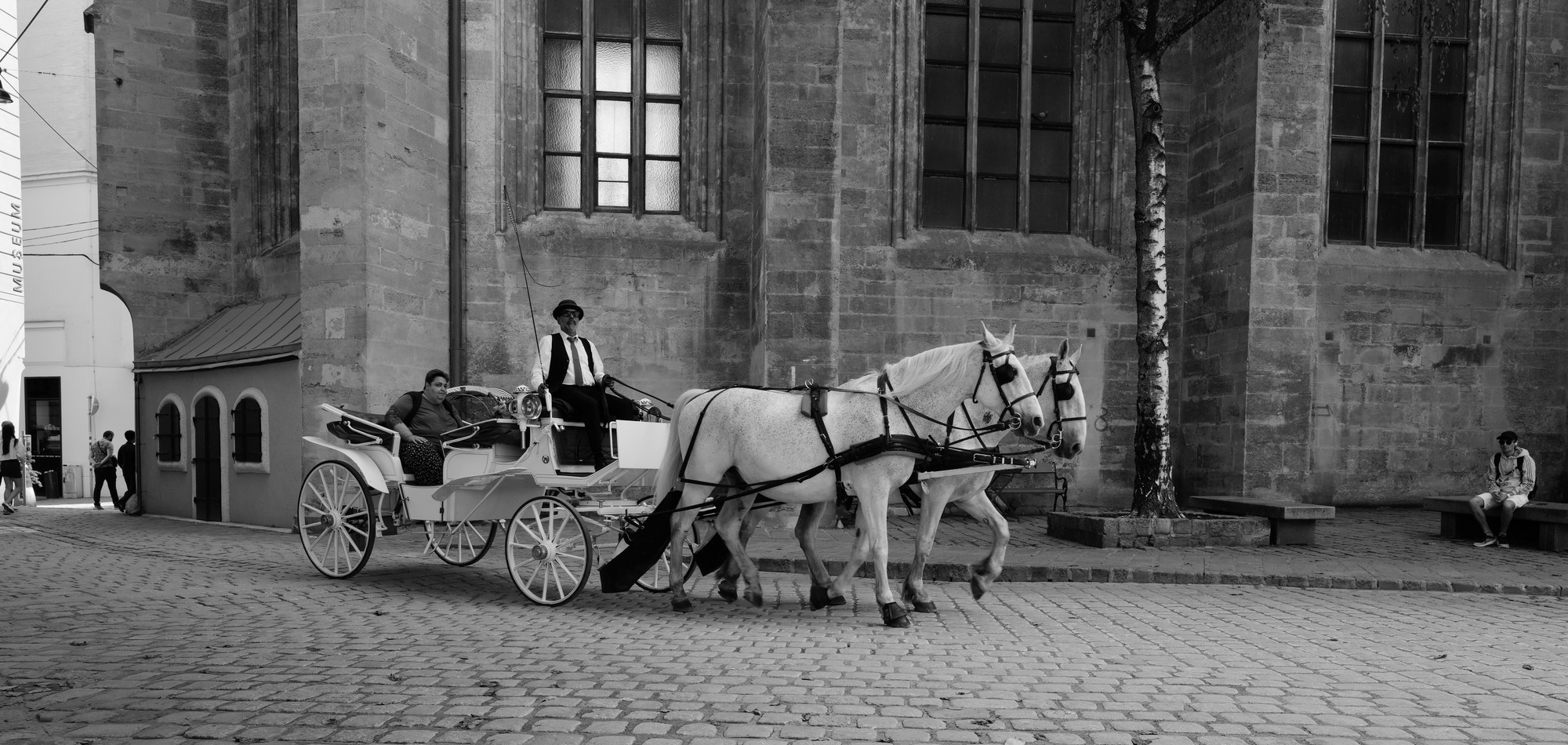 K-Ehmer_Fotografie_Wien_Fiaker_16