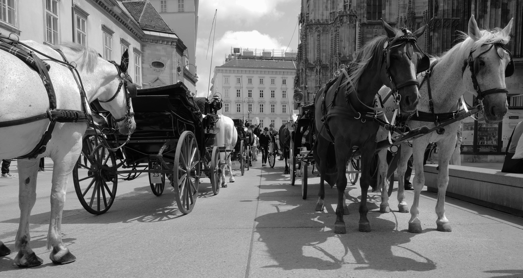 K-Ehmer_Fotografie_Wien_Fiaker_26