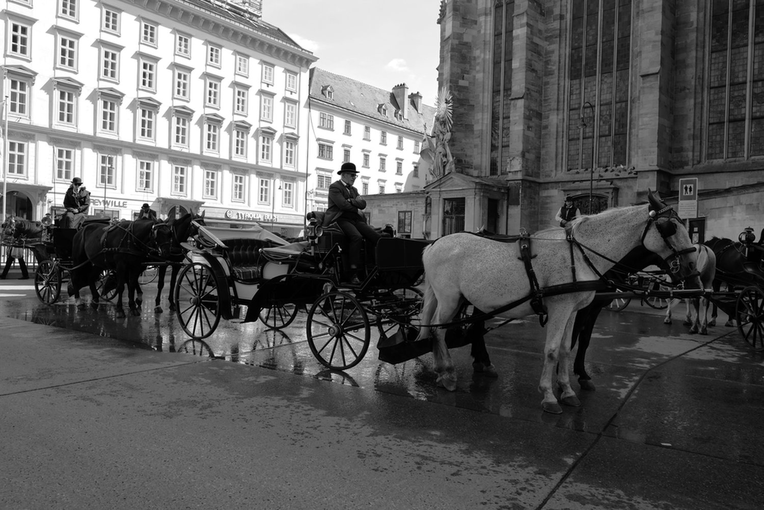 K-Ehmer_Fotografie_Wien_Fiaker_33